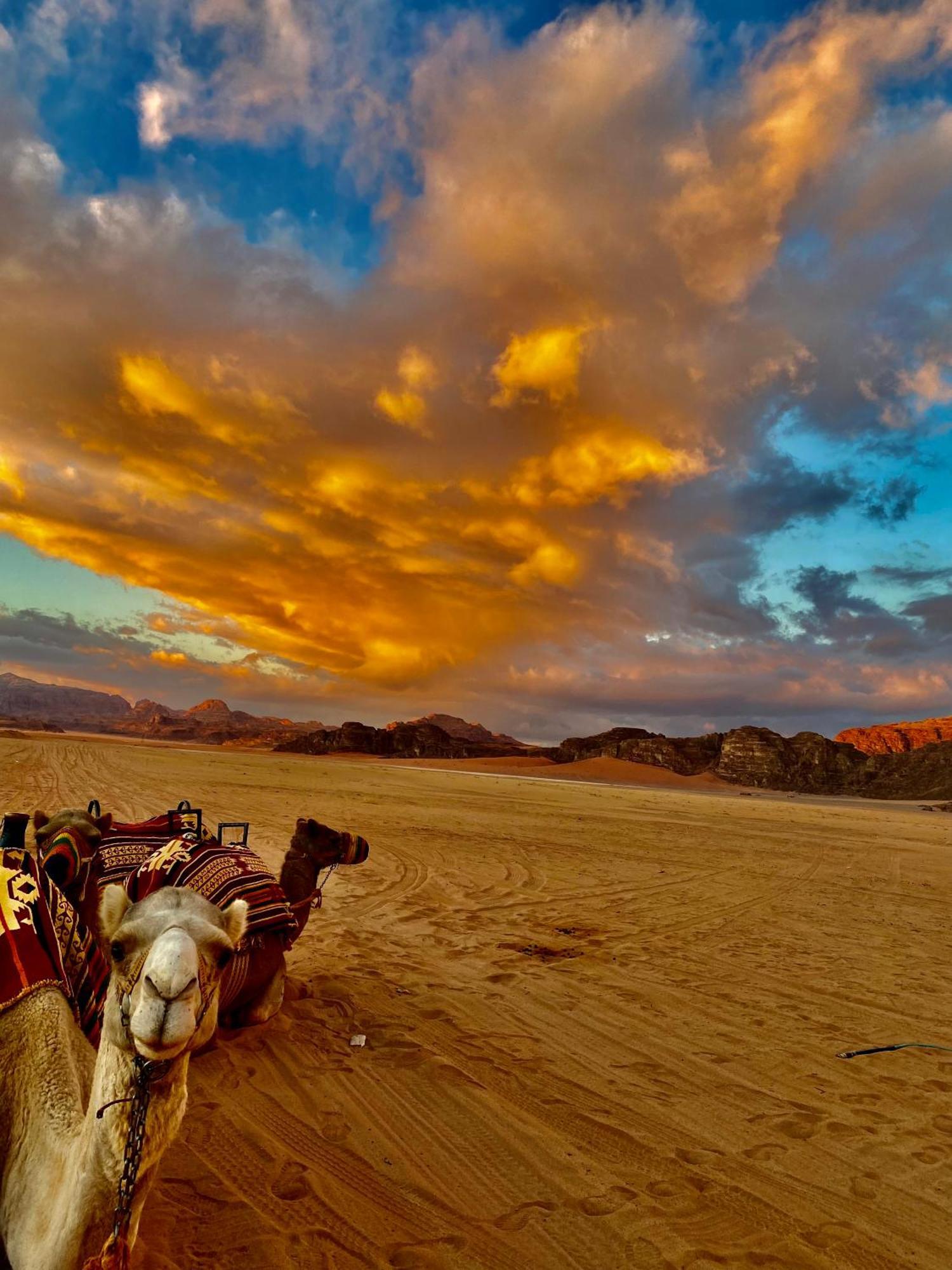 Rum Four Mountain Luxury Camp Wadi Rum Exterior foto